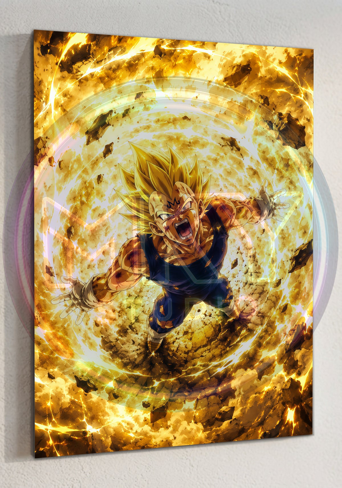 CUADRO DE ALUMINIO MAJIN VEGETA